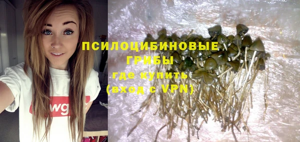 дмт Володарск